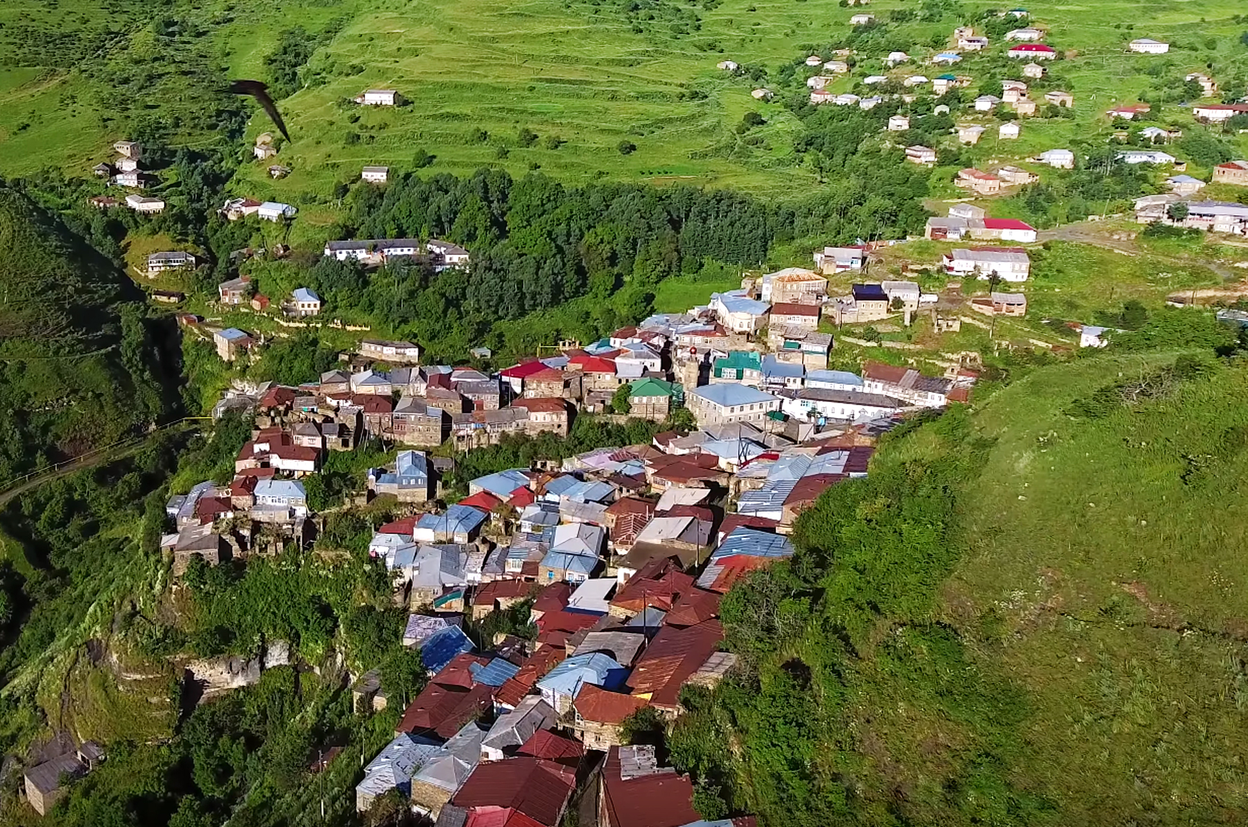 Харбук.